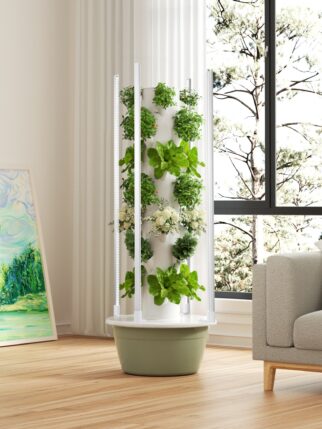 H59c78d02f6e7412fbaa5ff2bfd55f6a3q